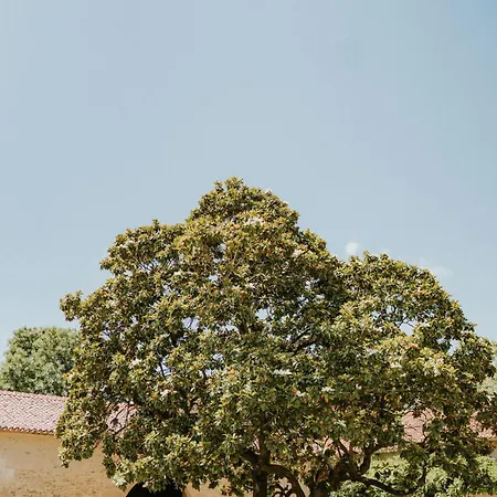 Chateau De La Citardiere *