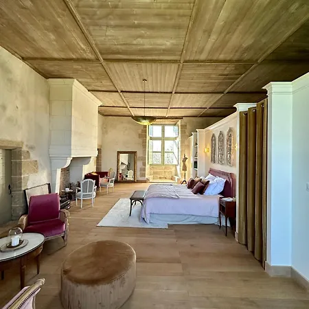 بيت ضيافة Chateau De La Citardiere *