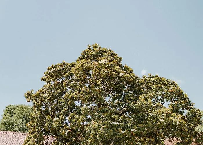 Chateau De La Citardiere *